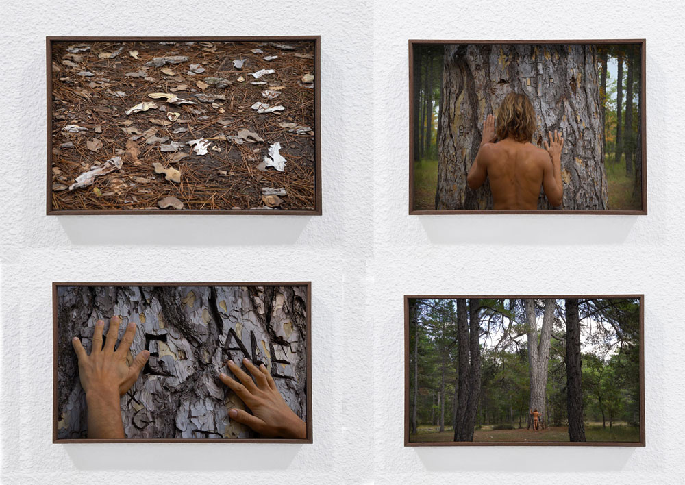 The Possession of Touch (bark, body, hands and tree), 2021