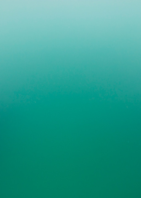 Atlantique, Ouessant, Colonne d\'eau, - 8 mètres, 2015