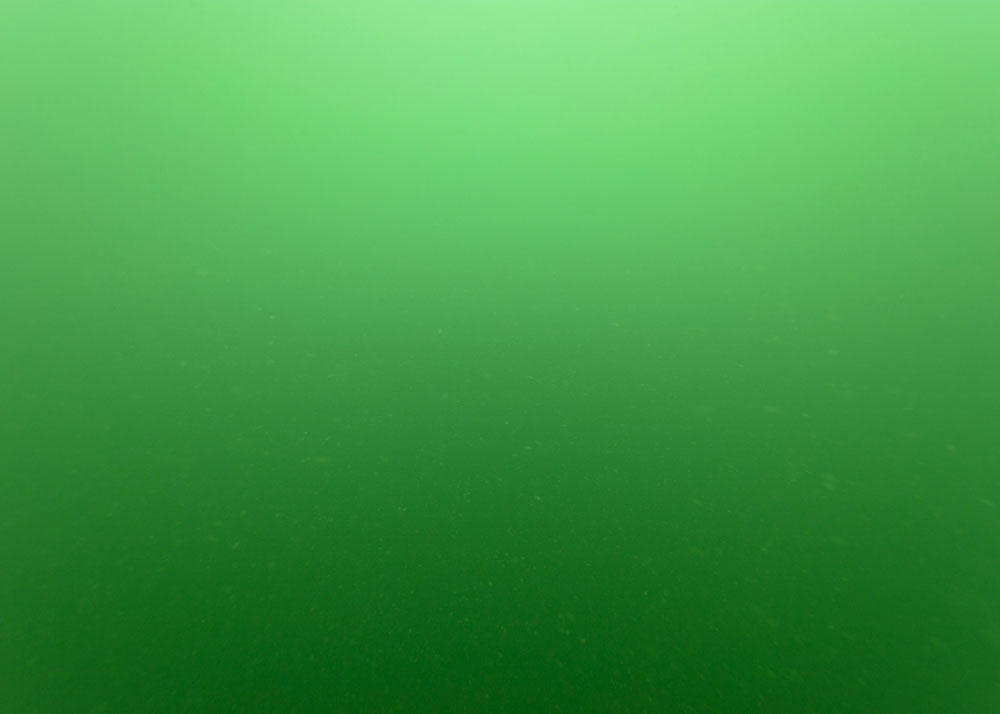 Mer de Seto, Shodojima, Colonne d\'eau, - 25 mètres, 2019